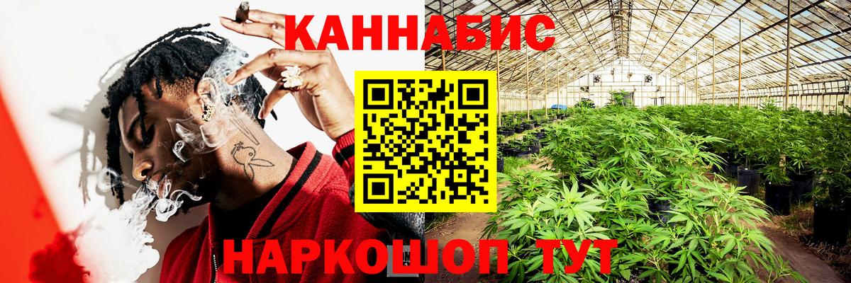 Бошки марихуана планчик  Шишки марихуана марихуана  Избербаш  Вход с VPN  Бошки Шишки MAZAR 